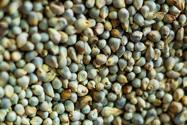 Bajra Khichdi (Pearl Millet Khichdi)